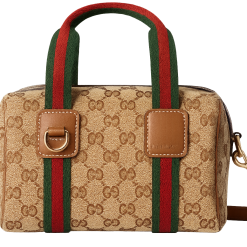 Mini GG Beige and Brown